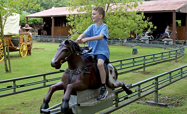 Young boy on horse theme park ride